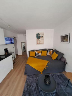 Beau studio proche centre ville et plage